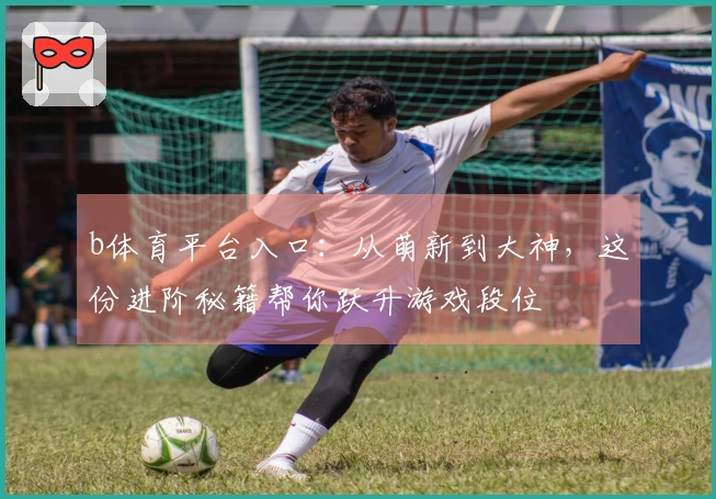 b体育平台入口：从萌新到大神，这份进阶秘籍帮你跃升游戏段位