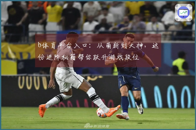 b体育平台入口：从萌新到大神，这份进阶秘籍帮你跃升游戏段位